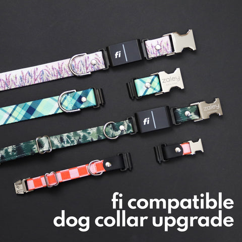 Upgrade Any Collar to be Fi Compatible