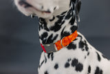 Orange Ombre Dog Collar