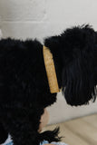 Gold Glitter Dog Collar