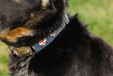 Baseball Hearts Dog Collar