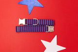 Red, White and Blue Stripes Dog Collar