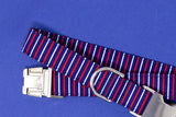 Red, White and Blue Stripes Dog Collar