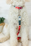 The Gumdrop Nordic Fabric Dog Collar