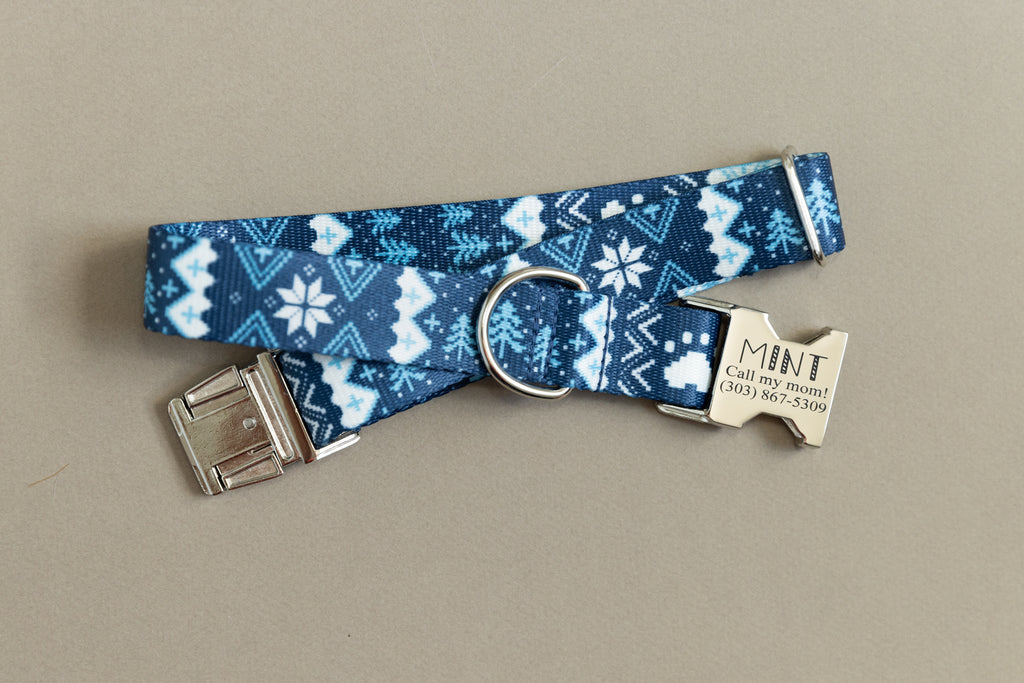 The Yeti Nordic Endurance Dog Collar Zaley Designs