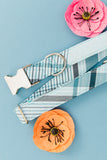 Light Blue & White Plaid Dog Collar