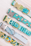 Tacos on Turquoise Dog Collar