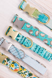 Light Blue & White Plaid Dog Collar