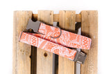 Coral & White Lace Dog Collar