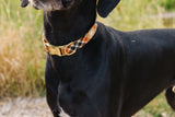 Ember Flannel Plaid Dog Collar