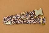 Paw Print Leopard Dog Collar