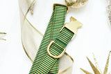Green & Gold Stripe Dog Collar