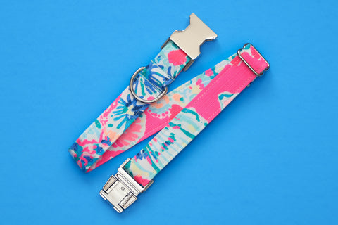 Florscent Jelly Fish Lilly - Dog Collar