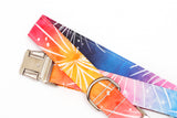 Ombre Fireworks Dog Collar