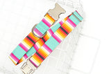 Summer Stripes Dog Collar