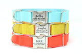 Personalized Endurance Collar - 28 Color Options