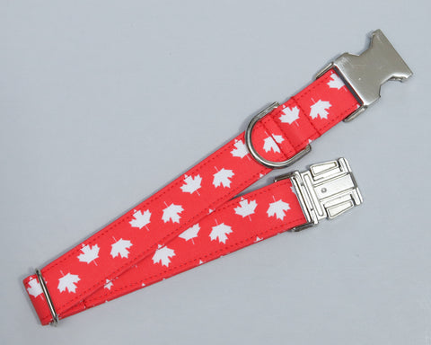 MEDIUM - Canada Day Dog Collar - Silver Buckle