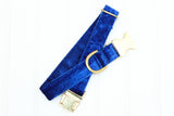Royal Blue Velvet Dog Collar