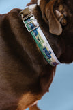 Vintage Blue Truck Dog Collar