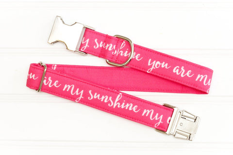 You are my Sunshine Dog Collar - Pink