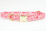 Pink Sharks Dog Collar