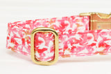 Pink Sharks Dog Collar